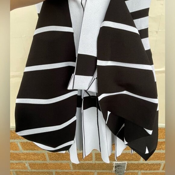 CAROLINA HERRERA Striped Cap-sleeve Pleated Dress size large - Picture 10 of 16